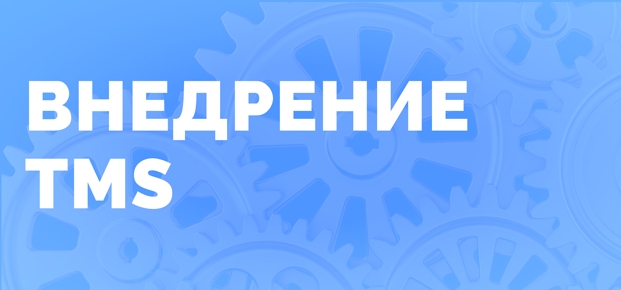 Как с нуля внедрить систему управления тестированием